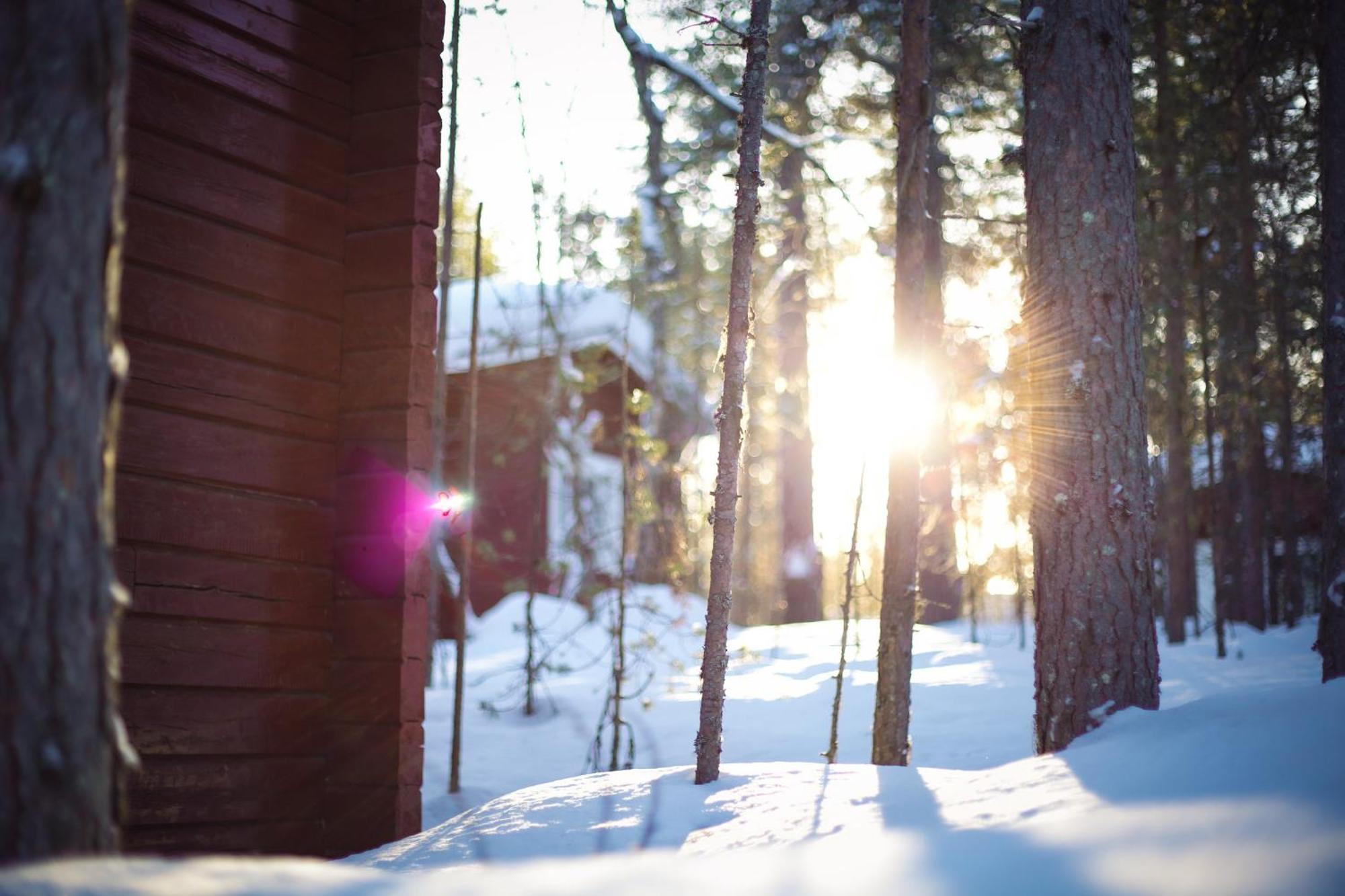 Crow Creek Cabins Inari Exterior photo